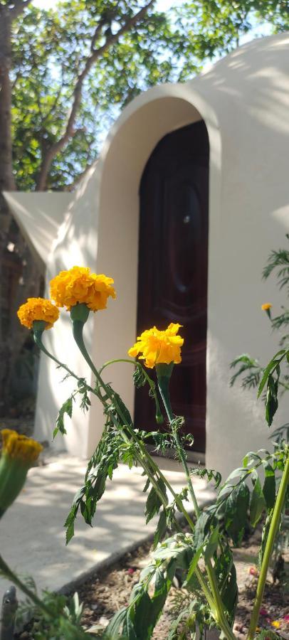 Done Right Hostel Phumi Chrouy Svay Exterior photo